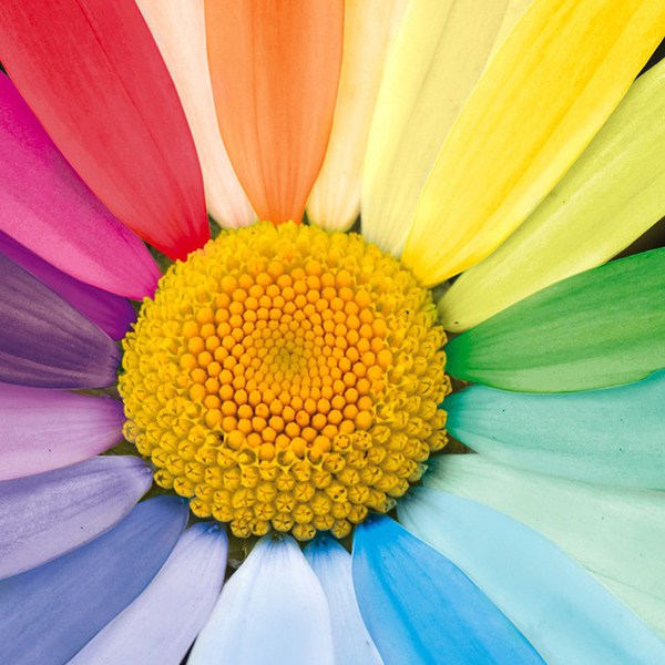 Proposal Letters and Mission&nbsp;Statements