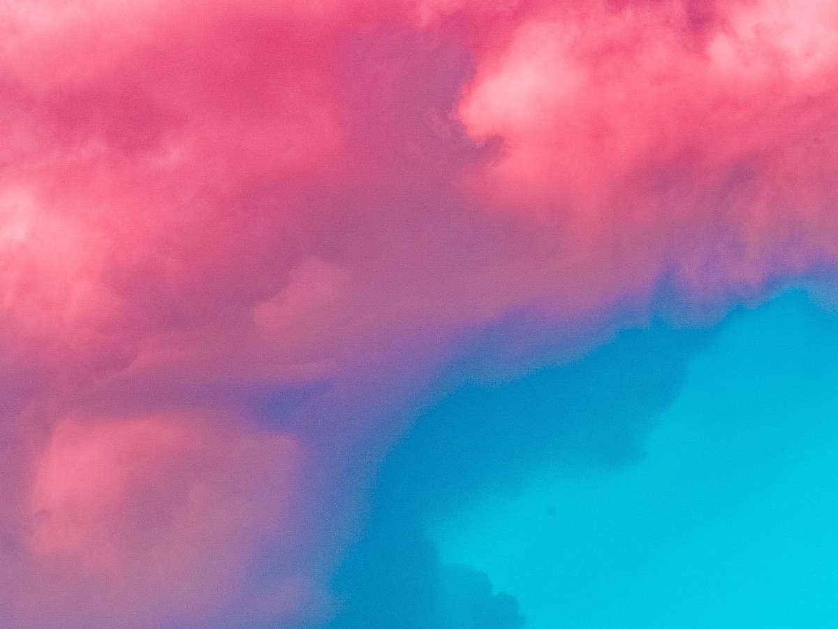 Interview with Students Alex, Sienna, & Jasmine, Part&nbsp;2